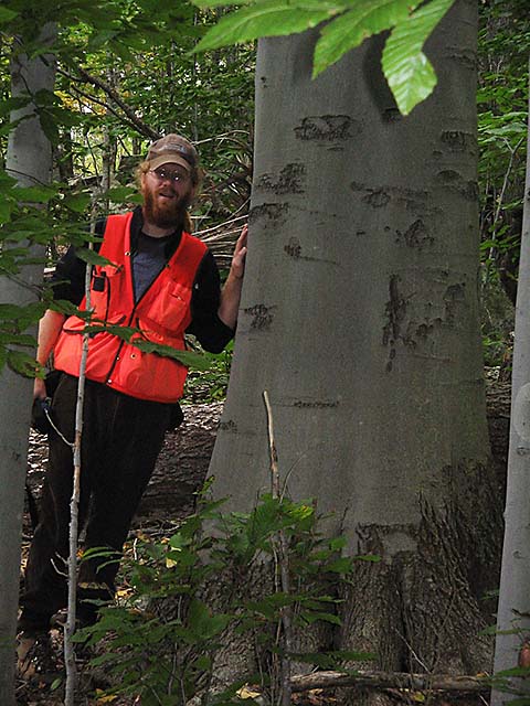 Watershed forester Brendan Murphy next to large beech tree