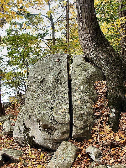Large glacial erratic boulder split neatly in half