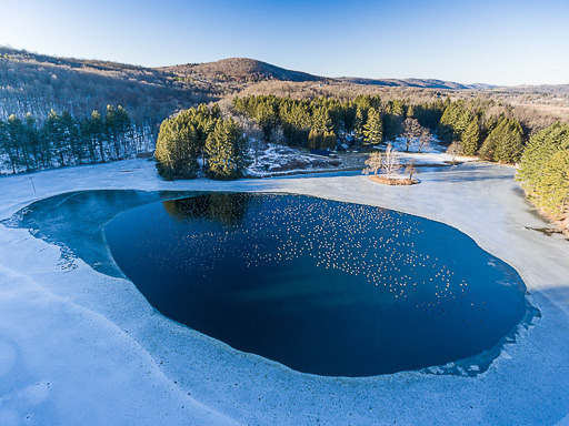 Aerial photo of snow geese on a pond partially covered with ice